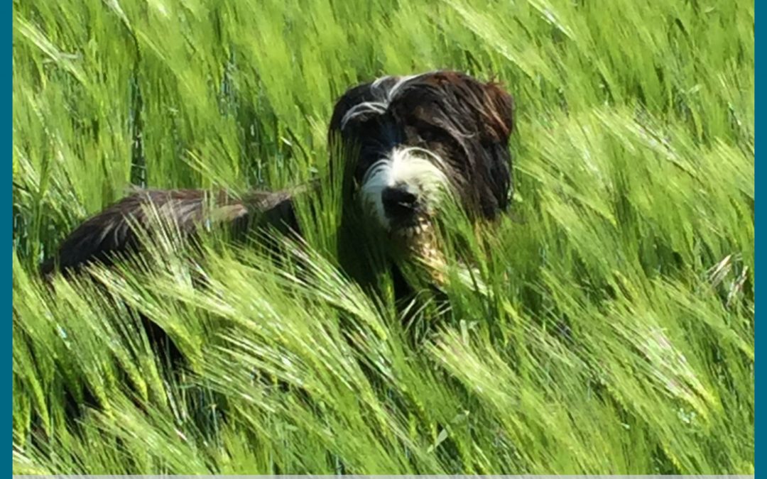 O´CONNER – HEY & HERZLICH WILLKOMMEN!