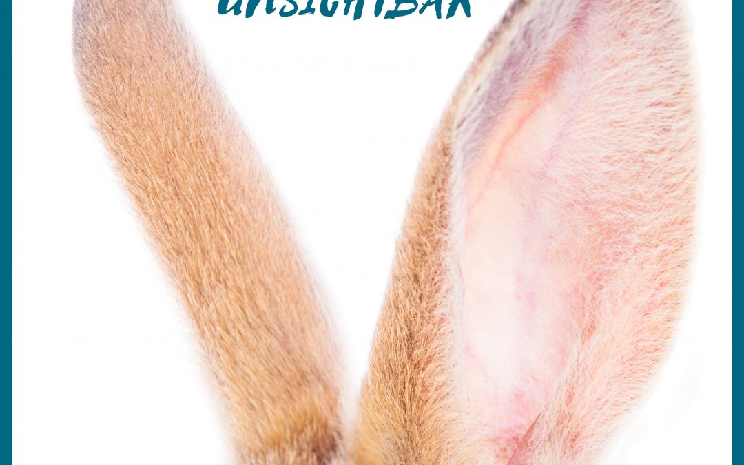 SO BLEIBST DU ONLINE „UN“SICHTBAR 👯 🐇